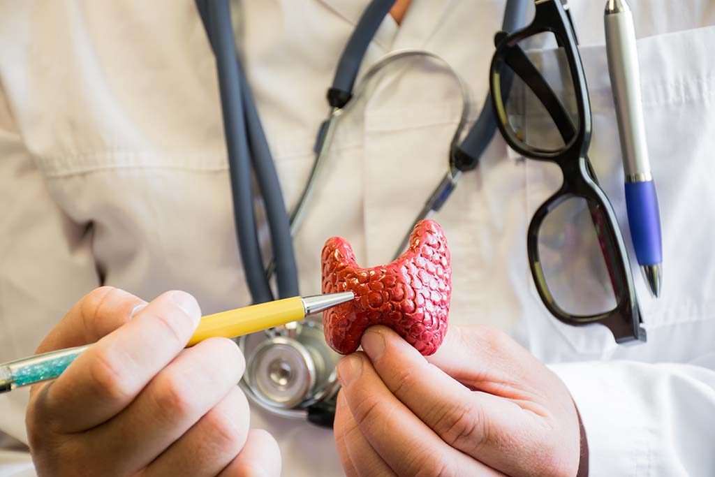 Close-up of a doctor demonstrating on a model of the thyroid